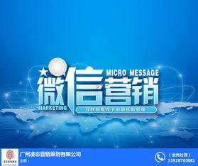 海珠區(qū)網(wǎng)站建設(shè)與軟件開發(fā) 凌志營銷策劃的專業(yè)之道